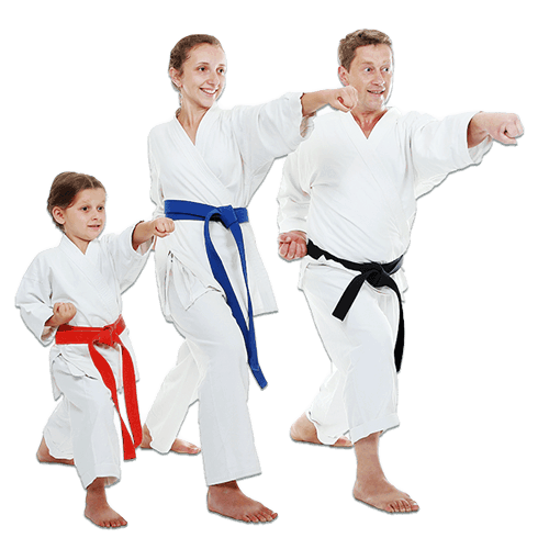 Martial Arts Lessons for Families in Wauconda IL - Man and Daughters Family Punching Together