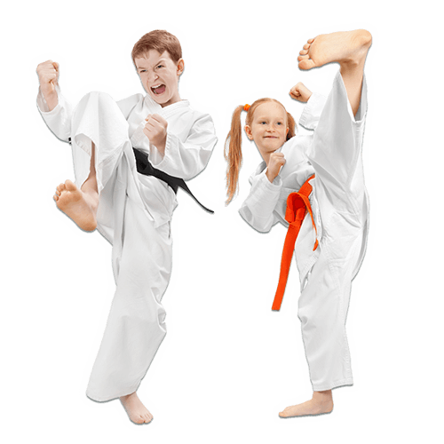 Martial Arts Lessons for Kids in Wauconda IL - Kicks High Kicking Together