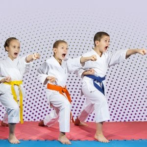 Martial Arts Lessons for Kids in Wauconda IL - Punching Focus Kids Sync