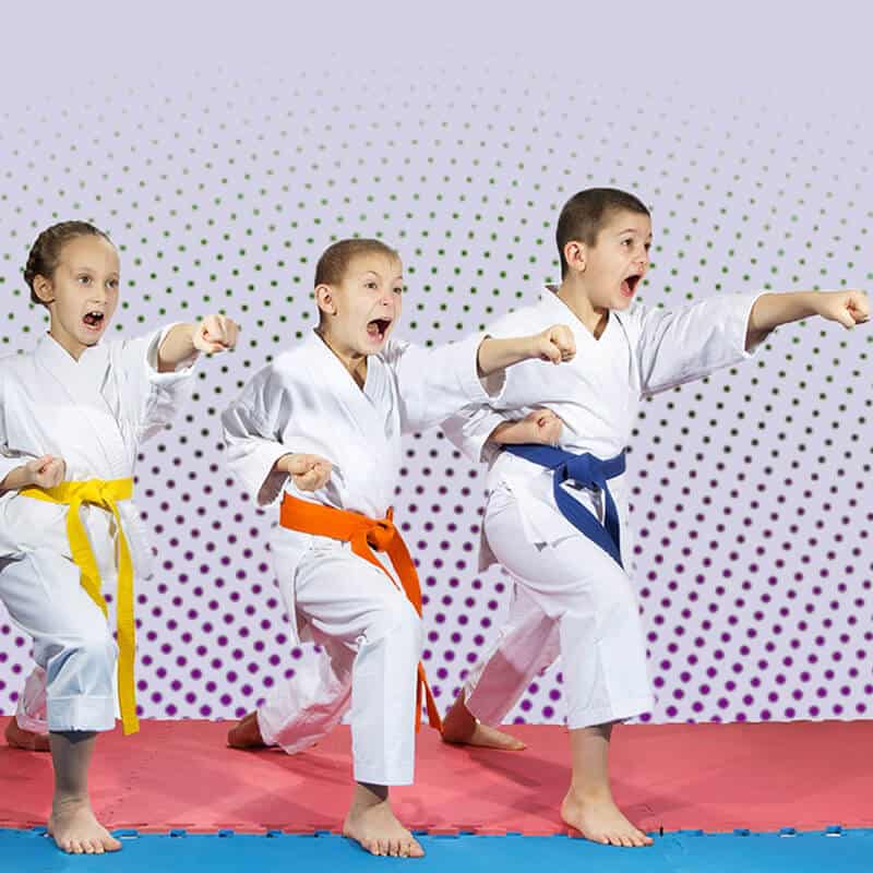 Martial Arts Lessons for Kids in Wauconda IL - Punching Focus Kids Sync